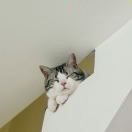 黄豆豆这个夏天只有100斤。的头像-秀琴曲谱网