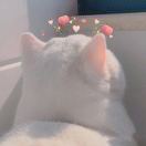 李先生的头像