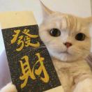 建安汇用户头像