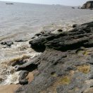 一画一书一世界