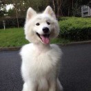 莈卡