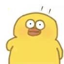孔孔