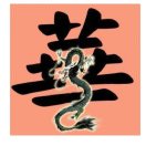 华仔