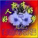 建安汇用户头像