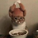 user_a090b765vqmfvon4 member profile picture