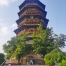 巨峰葡萄