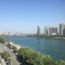 THP·ベWild-GC33GFC