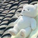郭磊