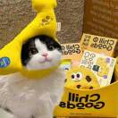 好名字的头像-梦马考研