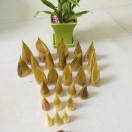 HUA