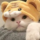 WZY头像
