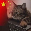 虎！