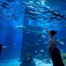 故意。的头像-博士钣金 - www.bsbanjin.com