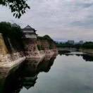 余庆华