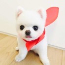 jtsin's Avatar