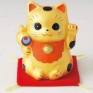 陆先生