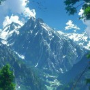 溜溜