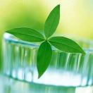 拜厄 No.9 学生弹奏的演奏视频