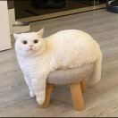 depot point转租&房东直租