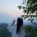 往后🍃