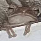 用户73541992的头像-cok论坛 - AGREE动漫游戏