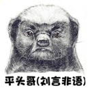 劉言非語(yǔ)（電商掃地僧）