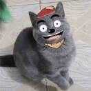 灰太猫的头像-阿卡博客