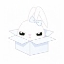 wjh
