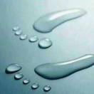 xufeng的头像-秀琴曲谱网