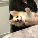 算法工程师