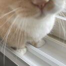 Hayloft Point转租&房东直租