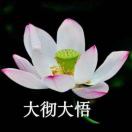 爸爸 老秦