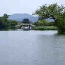 用户头标