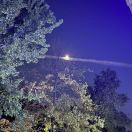 阏与的头像-长游分享网