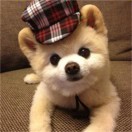 薄衫少年󰠇