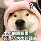 一帆风顺..