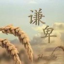 wx_赵培50