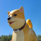 simohaha's Avatar