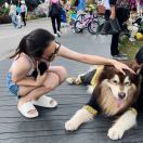 Journal Squared Towel 2转租&房东直租