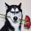 ℋღ᭄青衿🍒᭄💞࿐的头像-WordPress主题模板-zibll子比主题