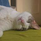 可可可心Max的头像-小燕社区