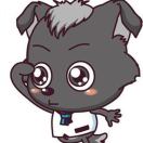 小灰灰