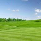 wangzi的头像-古德网络