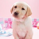 我在西海玩泥巴