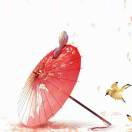 淺若清風(fēng)