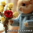 wx_烟花再美只是一瞬间56