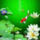 李春玉