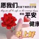 释安然的头像-涛哥