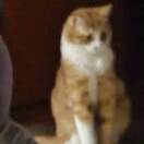 原瞻的头像-梦马考研