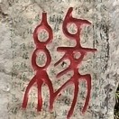 朱女士的头像